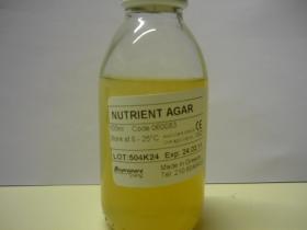 Φιαλίδιο Nutrient Agar