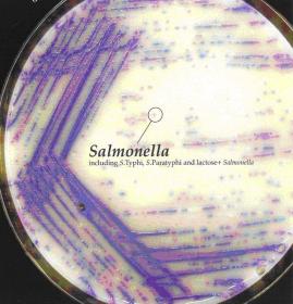 Τρυβλία CHROMagar SALMONELLA